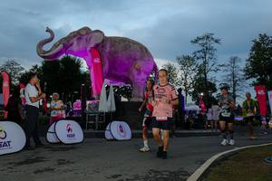 BIB: 
                            <button type="button" onclick="openModal(26529578)" class="btn btn-primary btn-sm float-right btn-popup" data-toggle="modal" data-target=".modal-high-quality">
                        <i class="fas fa-shopping-cart"></i> Add to Cart
                    </button>
                                            <button type="button" onclick="isThisMe(26529578, true)" class="btn btn-success btn-sm float-right btn-popup btn-isme hidden" data-toggle="tooltip" data-placement="bottom" title="นี่คือรูปของคุณใช่ไหม คลิกที่นี่เพื่อเอาเข้าอัลบั้ม">
                        <i class="fas fa-plus"></i> Add to album
                    </button>
                    <button type="button" onclick="isThisMe(26529578, false)" class="btn btn-warning btn-sm float-right btn-popup btn-isnotme hidden">
                        <i class="fas fa-ban"></i> Remove from album
                    </button>